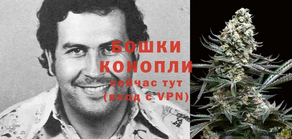 прущие крисы Белокуриха