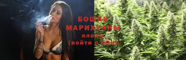 прущие крисы Белокуриха