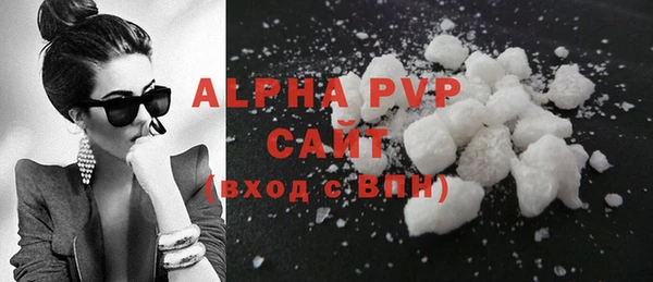 ECSTASY Богданович